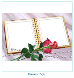 flower Photo frame 1509