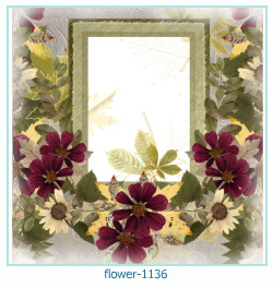 flower Photo frame 1136