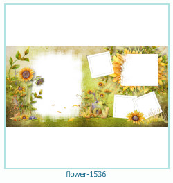 flower Photo frame 1536