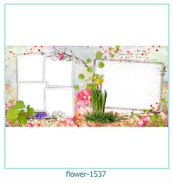 flower Photo frame 1537