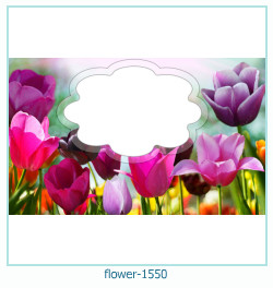 flower Photo frame 1550