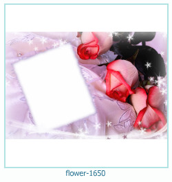 flower Photo frame 1650