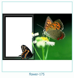 flower Photo frame 175