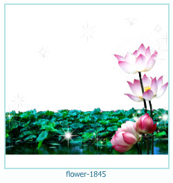 flower Photo frame 1845