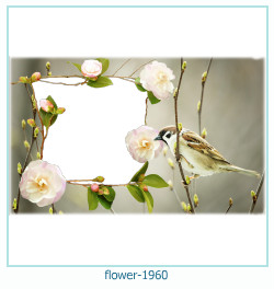 flower Photo frame 1960