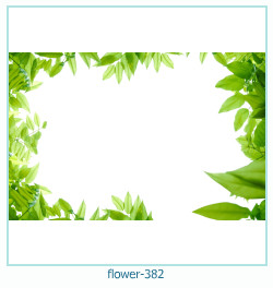 flower Photo frame 382