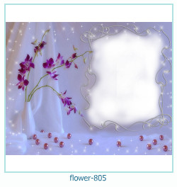 flower Photo frame 805